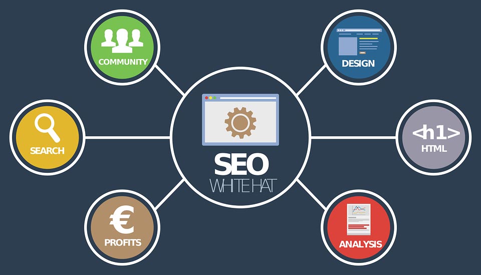 what-is-the-best-seo-software-for-you