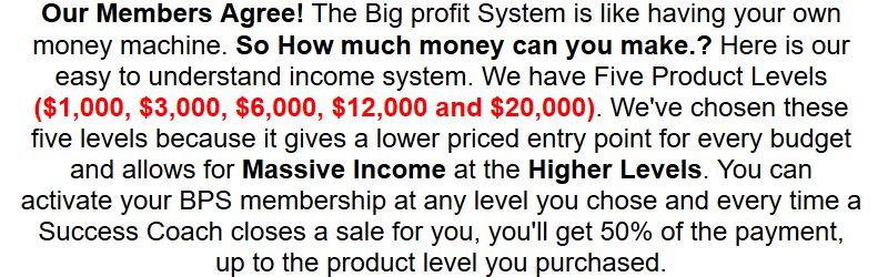 big profit system upfront fee