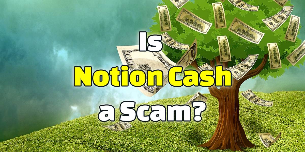 is notion cash a scam