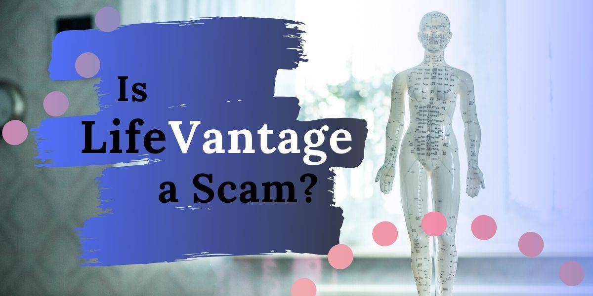 is lifevantage a scam
