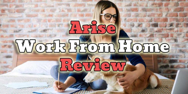 arise work from home review