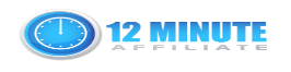 12 Affiliate System Logo