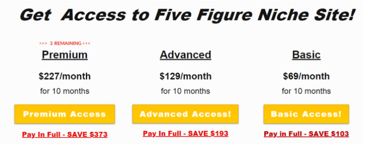Five Figure Niche Site Pricing