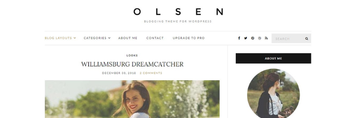 Olsen Light WordPress theme