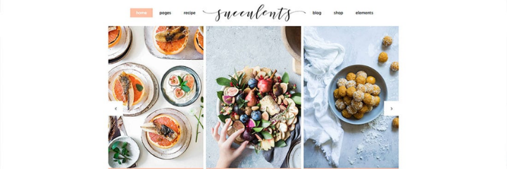 Succulents Food Blog WordPress Theme