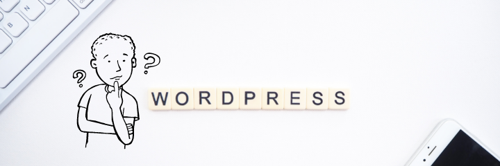 Who should use WordPress