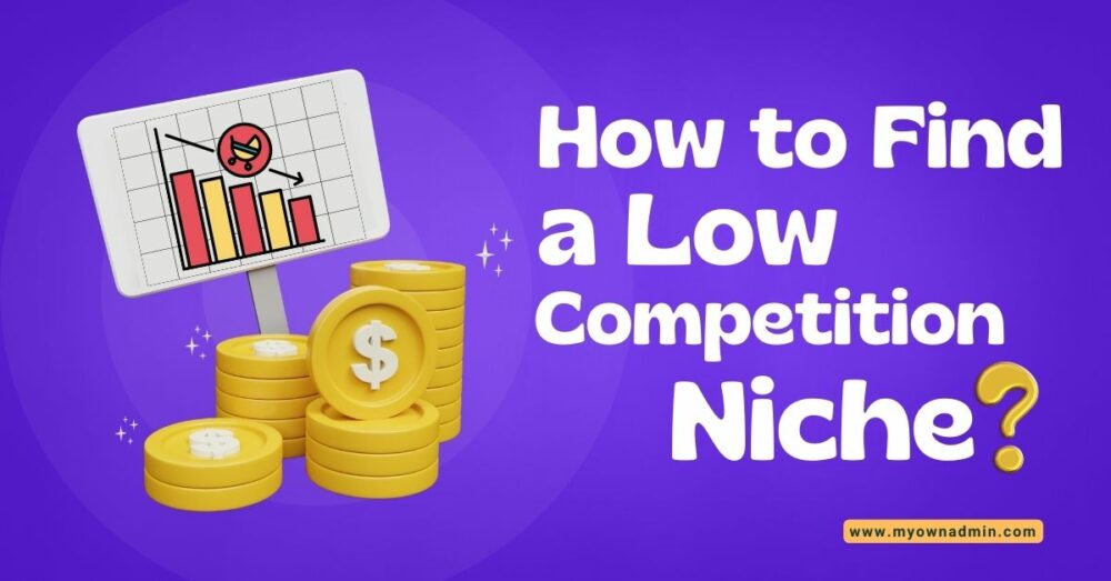 Niche Finder 5 Tips on How to Find a Low Competition Niche