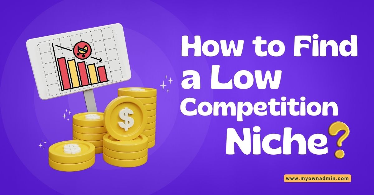 How to find a low competition niche